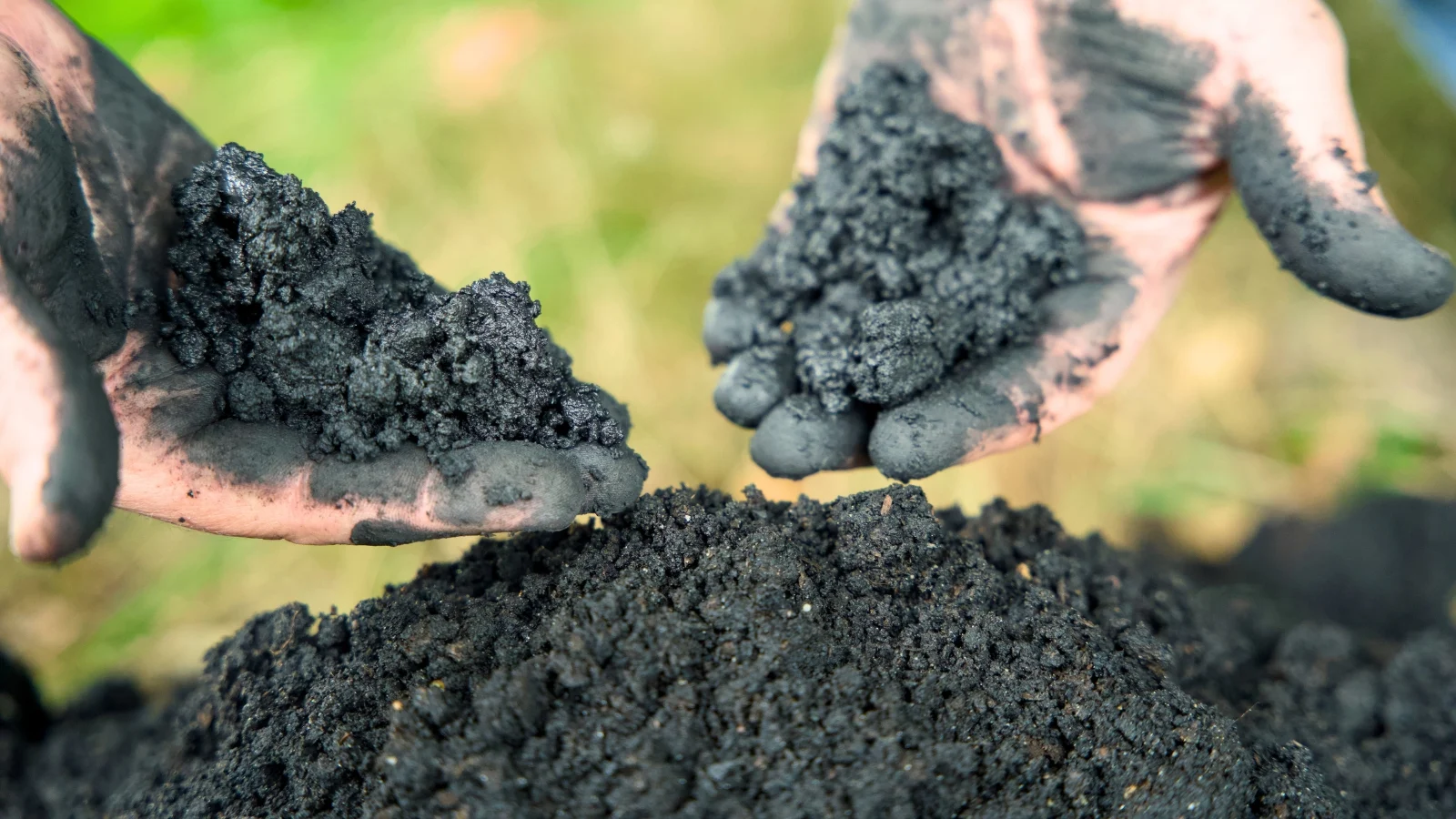 BioChar